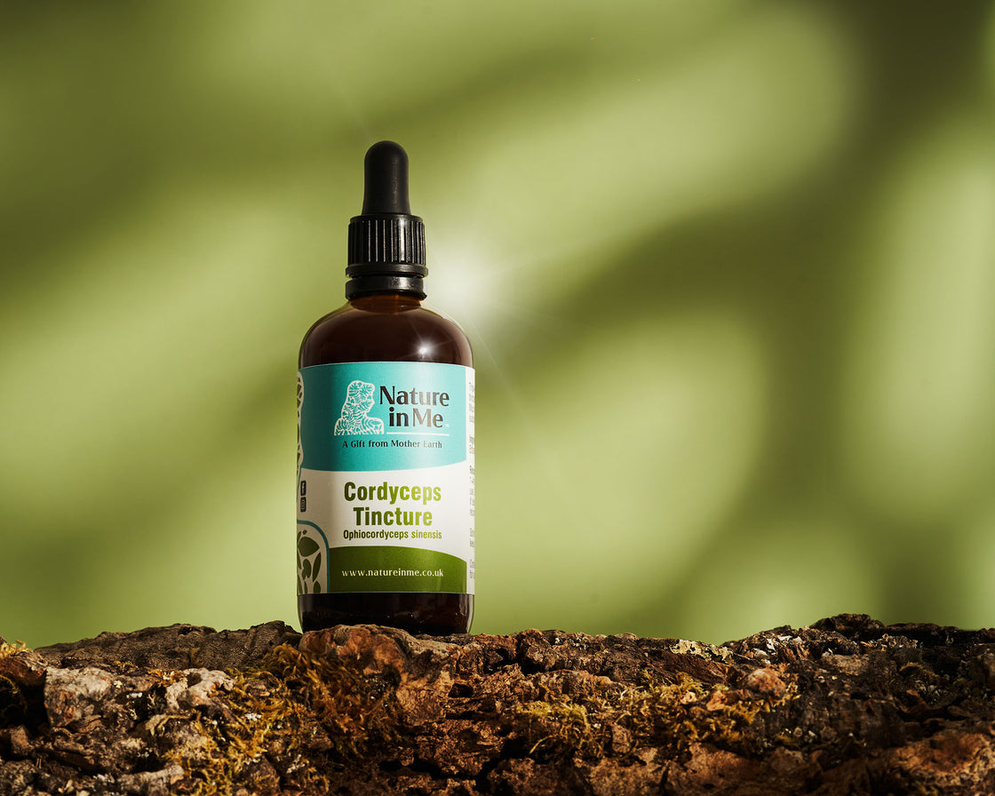 Nature in Me Mushroom Tincture Collection