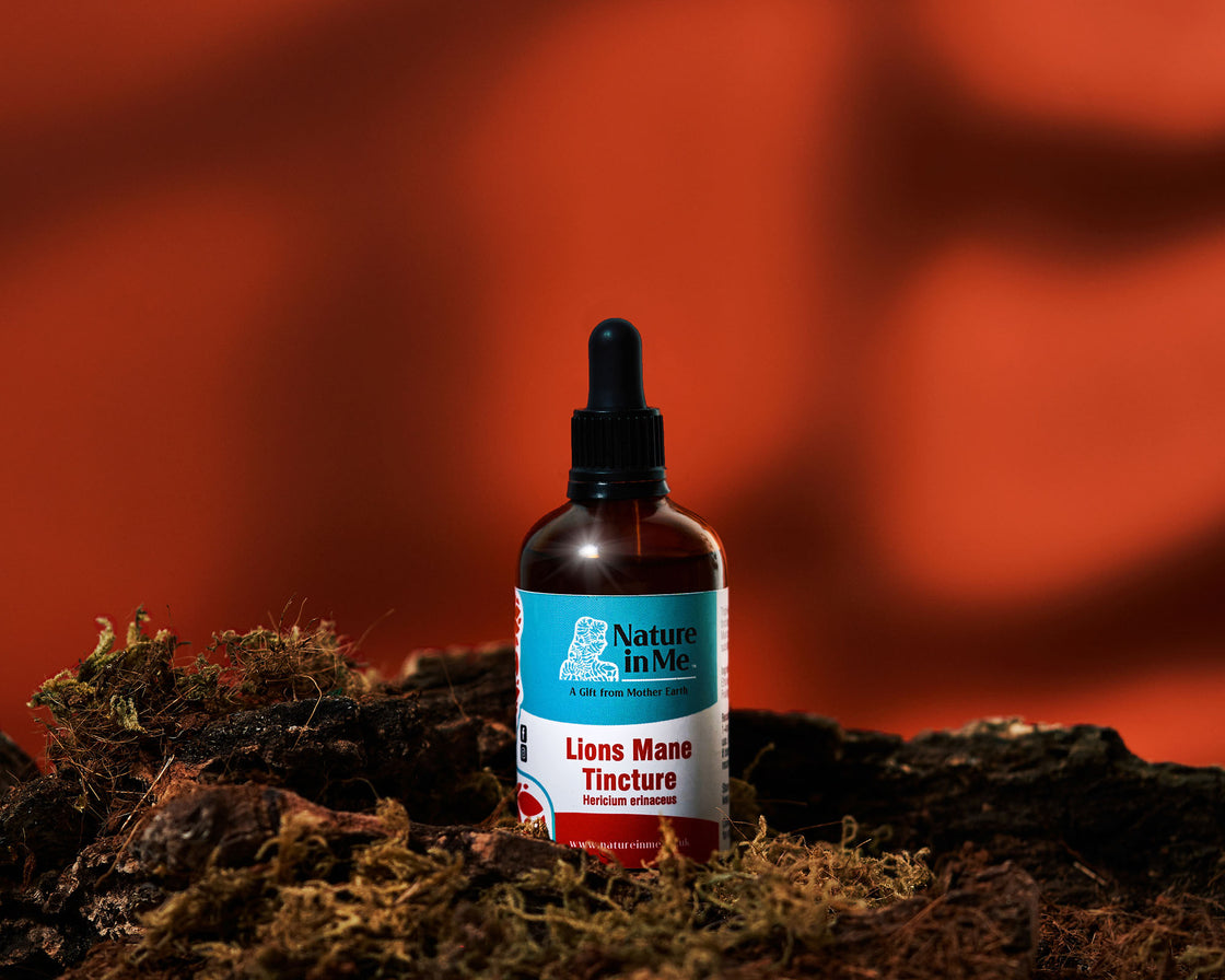 Lions Mane (Hericium erinaceus) Mushroom Tincture